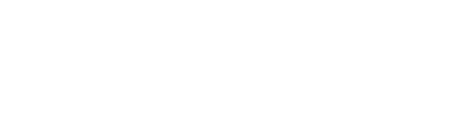 SilverX